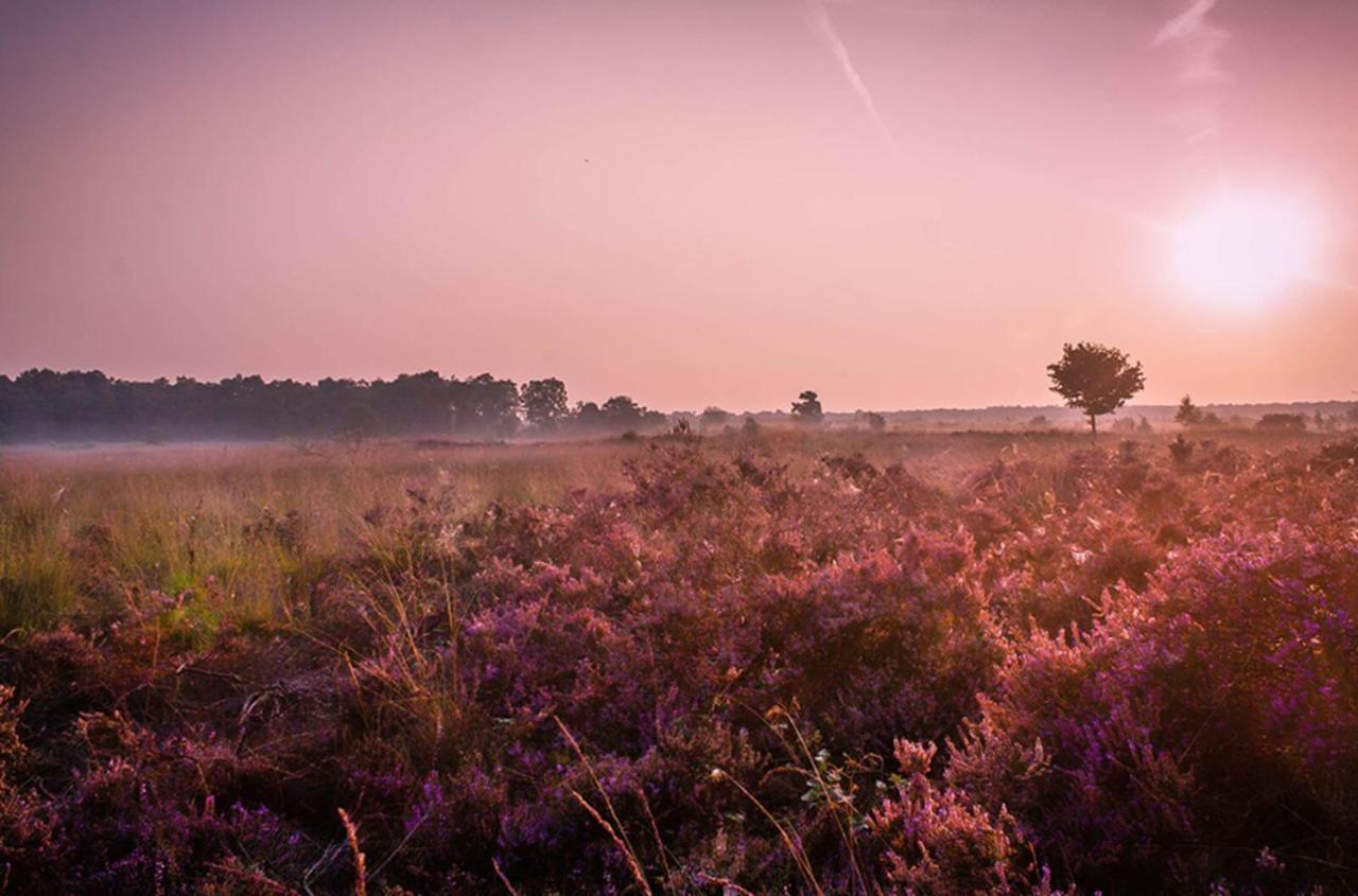 6-Persoons Veluwe Villa Voorthuizen Ngoại thất bức ảnh
